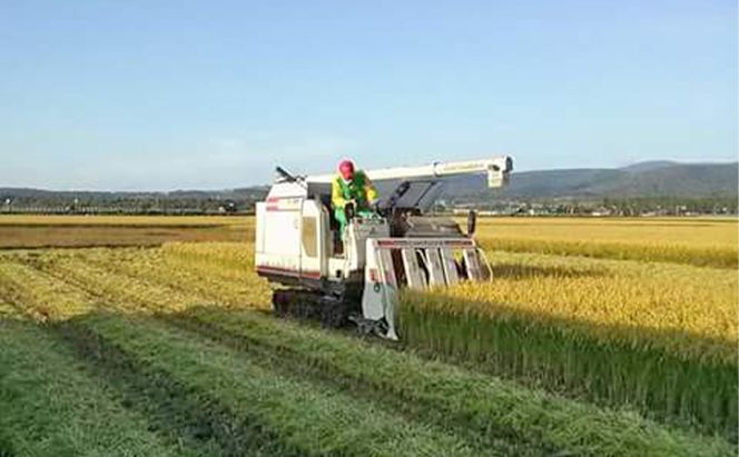 北海道赤平産 ななつぼし 10kg (5kg×2袋) 【12回お届け】 精米 米 北海道 定期便 お米 