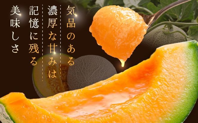 《2026年分受付中》大玉！とろける食感の北海道三笠メロン2玉入(3.2kg以上)【0106203】