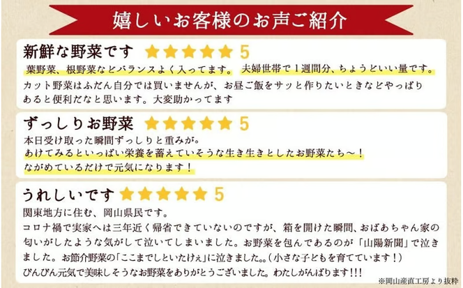 岡山の旬をお届け！ 真庭あぐり野菜セット 10～11品 便利なカット野菜入り / 産地直送 農家 お試し 岡山県 新鮮 あぐりガーデン 国産 【配送不可地域：北海道／沖縄県／離島】 【jujy047-01】