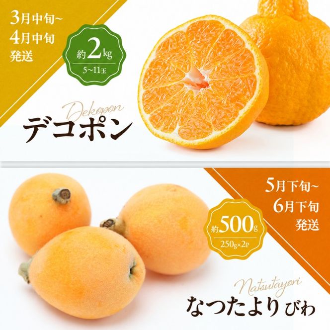 少しがうれしい讃岐のフルーツ定期便（全8回）【香緑キウイ】【さぬきひめ苺】【デコポン】【なつたより(びわ)】【シャインマスカット】【さぬきゴールドキウイ】【さぬきキウイっこ】【小原紅早生みかん】