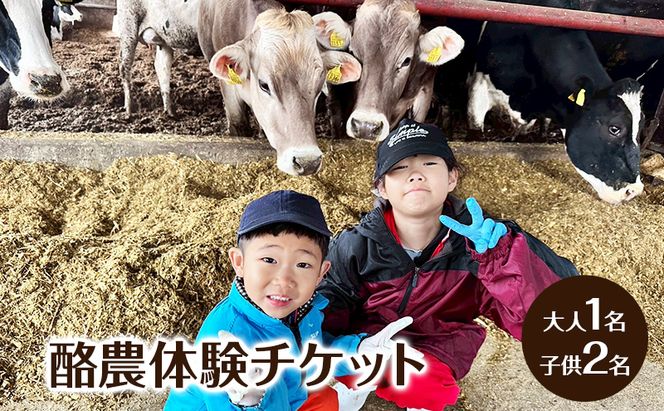 酪農体験チケット 大人1名・子供2名 【 体験チケット 酪農 北海道 幕別町 牛 搾乳 牧場 自然 】