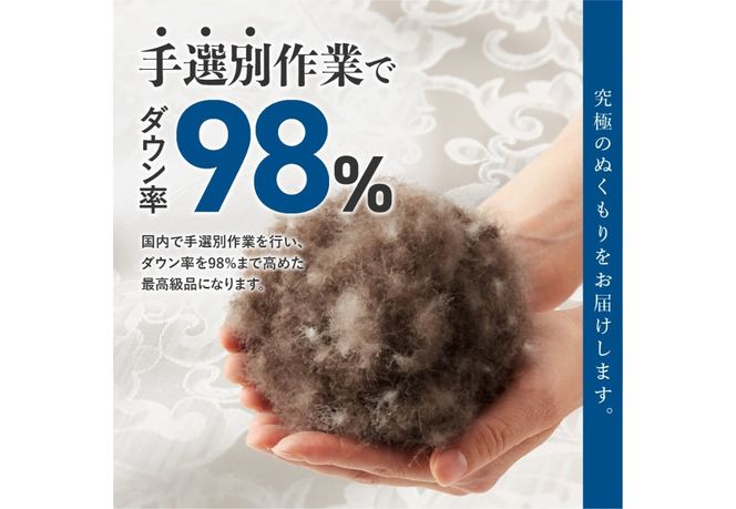 【甲州羽毛ふとん】肌掛けシルクジャガード手選別アイダーダウン【選べるサイズ】シングル/セミダブル/ダブル/クイーン/キング  羽毛ふとん 掛け布団 シルクジャガード 肌掛け 布団 アイダーダウン 山梨 富士吉田