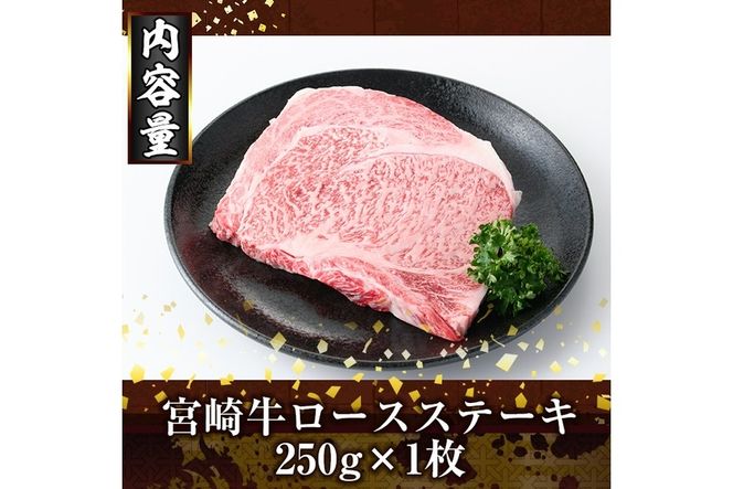 宮崎牛ロースステーキ(250g) お肉 牛肉 黒毛和牛 ブランド和牛 冷凍 国産 焼肉 BBQ ステーキ 【R-88】【ミヤチク】