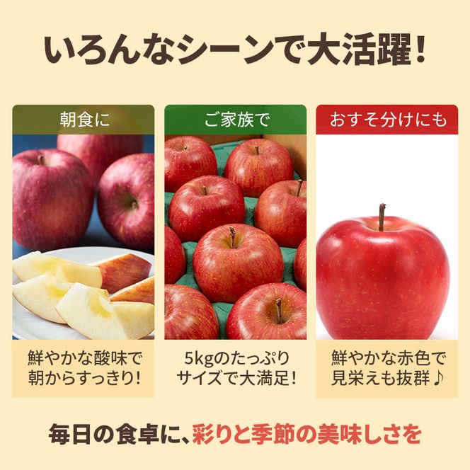＜先行予約＞ 早期発送 りんご ひめかみ 5kg 早生 旬 果物 フルーツ リンゴ 林檎 アップル くだもの 宮城県 大河原町 数量限定 送料無料
