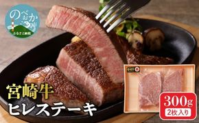 宮崎牛 ヒレステーキ 2枚 300g　N0140-YB722