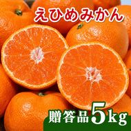 【先行予約】贈答品 愛媛みかん 5kg 傷み補償 250g 増量 発送期間 2026年11月上旬以降 みかん 愛媛みかん 温州みかん 南柑20号 柑橘 蜜柑 かんきつ 冬 秋 旬 正月 愛媛 愛媛県 愛南町 お歳暮 プレゼント くだもの 果物 フルーツ スイーツ おやつ お菓子 和菓子 甘い 糖度 オレンジ 冷凍 みかん ジュース 清家ばんかんビレッジ