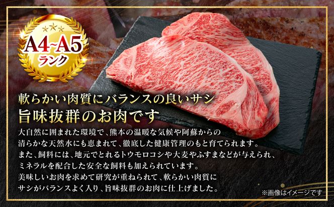 【A4～A5ランク】 くまもと黒毛和牛 サーロイン ステーキ 1kg （250g×4枚） 和牛ステーキ 牛肉 お肉 サーロイン 黒毛和牛 冷凍 小分け 焼肉 BBQ おかず ギフト 熊本県 八代市