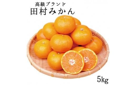 【全3回定期便】フルーツ大国和歌山よりお届け！旬のフルーツ定期便A【田村みかん・まりひめ・紀州デコ】 / フルーツ 果物 みかん いちご 旬 定期便 【tkb350】