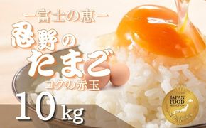 富士山の恵“忍野のたまご“‐コクの赤玉‐10kg　KC004