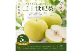 【先行予約】有梨の実石田 二十世紀梨 (自家用)5kg 313726_CY017