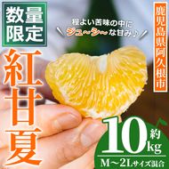 ＜先行予約受付中！2027年3月上旬以降順次発送予定＞ 数量限定！鹿児島県産 紅甘夏 (約10kg・M～2L) 柑橘 フルーツ 果物 国産 みかん 期間限定 数量限定 ベニアマナツ ミカン 旬 【株式会社土曜日】akn069-15