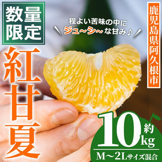 ＜先行予約受付中！2027年3月上旬以降順次発送予定＞ 数量限定！鹿児島県産 紅甘夏 (約10kg・M～2L) 柑橘 フルーツ 果物 国産 みかん 期間限定 数量限定 ベニアマナツ ミカン 旬 【株式会社土曜日】akn069-15