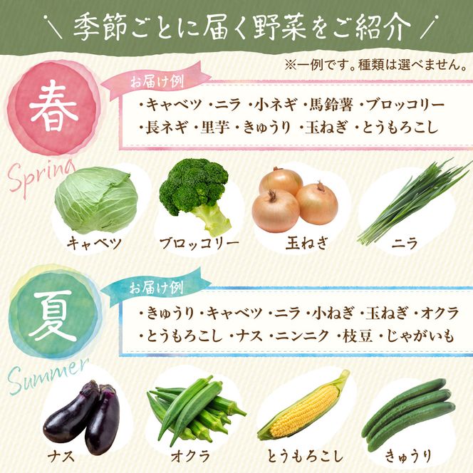 【定期便／年12回／毎月お届け】【道の駅むなかた】 旬のお野菜詰合せセット_HB0124