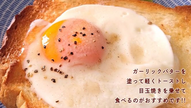ハード トースト（２斤） ハードトースト 食パン パン ぱん 砂糖 油脂類 乳 卵不使用 ハード系 甘くない食パン 自家製 酵母種 バゲット生地 [BR14-NT]