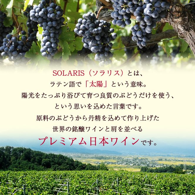 ソラリス 品種飲み比べセット ワインセット ワイン 赤ワイン 白ワイン シャルドネ 辛口ワイン ソーヴィニヨン メルロー スパイシー タンニン 
