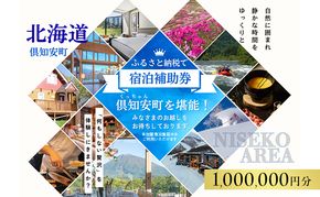北海道 倶知安町 宿泊 利用 クーポン 【100万円分】チケット 旅行 ホテル パークハイアット ニセコ HANAZONO Panorama Niseko AYA Villas 他 リゾート コンドミニアム コテージ ヴィラ 券 宿泊券 観光 高級 宿 体験 長期滞在 旅 