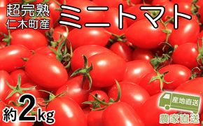 8月発送開始[先行受付] 超完熟ミニトマト【アイコ】2kg（1kg×2箱）栽培期間中 農薬・除草剤不使用 サイズ混載 トマト ミニトマト アイコ 野菜 北海道 仁木町 [アイコファーム] 