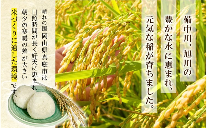 【令和7年産先行予約】 令和7年産 真庭市産 ひとめぼれ 白米 ５kg / お米 岡山県 真庭市 白米 米 ひとめぼれ 人気 令和7年産 2025年産 【tkns001-01-cho】