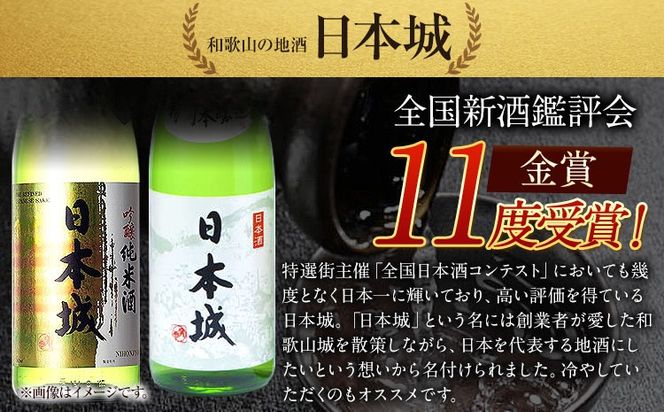 日本城 吟醸純米酒と特別本醸造 1.8L×2本 2種セット 厳選館《90日以内に出荷予定(土日祝除く)》 和歌山県 日高町 酒 吟醸純米酒 特別本醸造 飲み比べ 3.6L---wsh_genngth_90d_22_21000_2p---