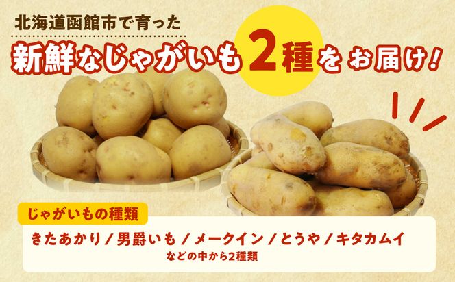じゃがいも 福袋 2種類 20kg きたあかり 男爵いも メークイン とうや キタカムイ 北海道産 じゃがいも Mサイズ　2Lサイズ 訳あり 野菜 新鮮 国産 食品 お取り寄せ お取り寄せグルメ 北海道 函館市 送料無料_HD206-003
