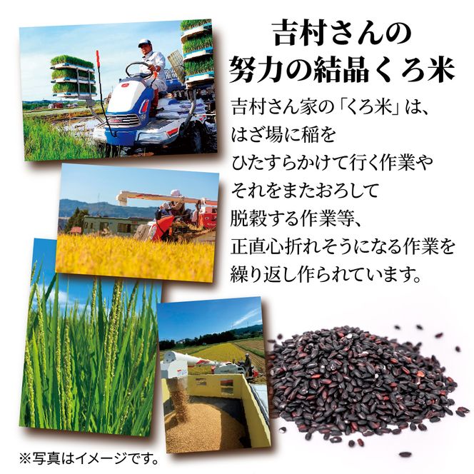 吉村さんちのくろ米御飯 20パック入りくろ米 うるち米 パック 米 コメ お米 ごはん ご飯 黒米 パックご飯 こしひかり コシヒカリ 新潟県産 魚沼 国産 新潟県 十日町