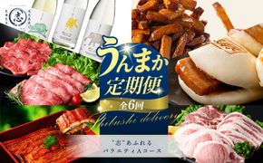 【定期便全6回】"志”あふれるバラエティAコース！志布志うんまか定期便  t0088-004