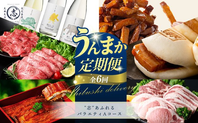 【定期便全6回】"志”あふれるバラエティAコース！志布志うんまか定期便  t0088-004