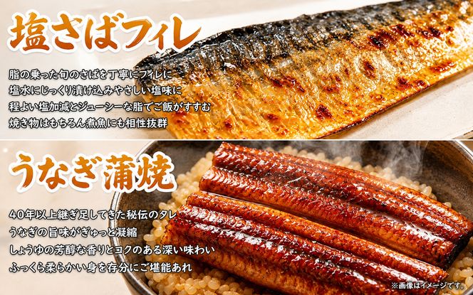【全4回】困った時の1品に！＼晩ご飯直行／絶品おかず定期便（さば・鰻・サケ・海鮮丼）【tkb304】