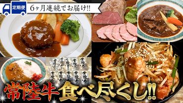 【定期便】 【6回コース】 常陸牛 食べ尽くし 定期便 （6ヶ月連続でお届け） 牛肉 黒毛和牛 国産 贅沢 ビーフシチュー ハンバーグ ローストビーフ 牛もつ ホルモン 簡単 お手軽 [AU035ya]