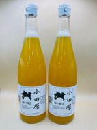 小田原 梅の輝き720ML瓶（梅ドリンク）2本セット【 飲み物 ドリンク 神奈川県 小田原市 】 142069_HR001