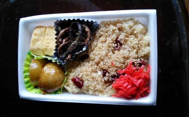 「魚沼産こがねもち」 もち米 精米4.5kg×2袋 お米 新潟 