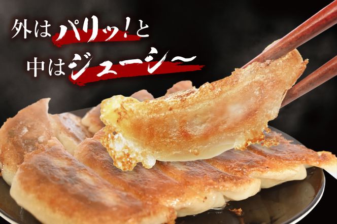 冷凍餃子 80個（20個×4袋） ブランド豚 「 美明豚 」（茨城県共通返礼品・行方市産） 小分け 餃子 ギョウザ 国産 豚肉 野菜 惣菜 おかず フライパン