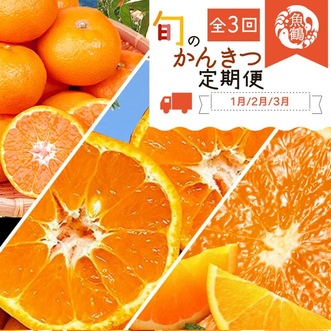 【定期便 全3回】紀州和歌山産旬の柑橘セット（みかん・ポンカン・清見）_G60-T32