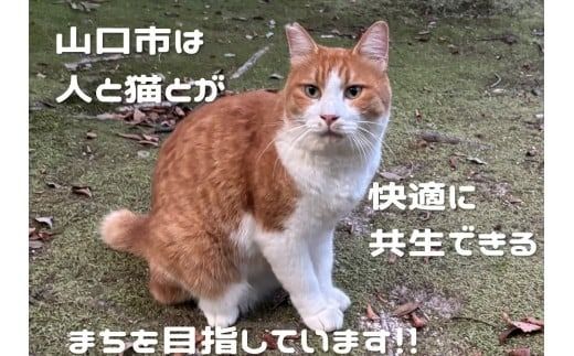 yRRszK012 ̂ȂL̕sDpx`sKȖ𑝂₳Ȃ߂Ɂ`