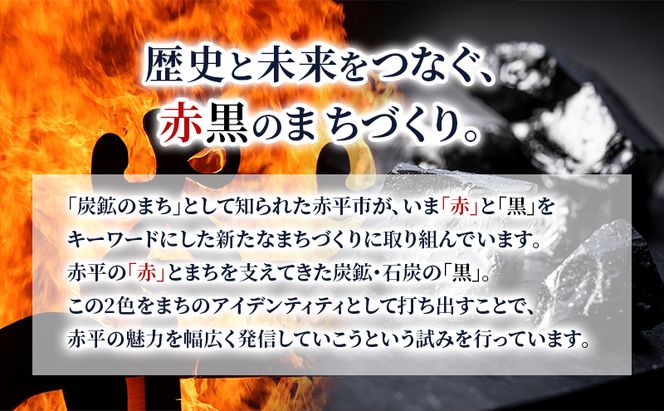 北海道 赤平市 寄附のみの応援受付 100,000円コース（返礼品なし 寄附のみ 100000円）