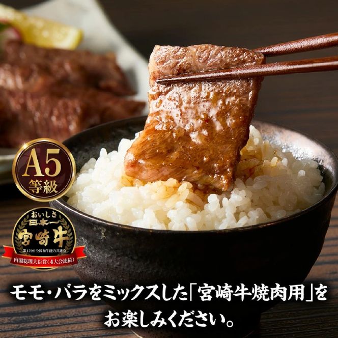 【A5等級宮崎牛】焼肉用モモ・バラ500g（小林市産 牛肉 和牛 特選 贅沢 厳選和牛 ブランド牛 ギフト 贈答）