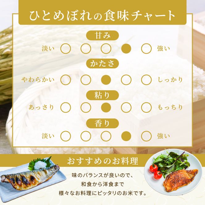 ひとめぼれ 定期便6回/5kg×1袋 令和8年産 新米 先行予約 宮城県産 米 精米 白米