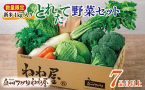 099H3018 【数量限定】【新米1kg入り】ねね屋の採れたて野菜セット 7品目以上 詰め合わせ 期間限定