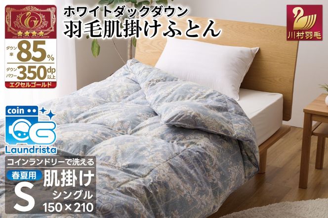 yRBszytėpz􂦂I H |zc VO zCg_bN_E 85% 0.4kg n [쑺H R Bs 20743698] zc Hѕzc H ӂƂ HтӂƂ Q ėp _EPbg |zc |zc { RۖhL RCh[