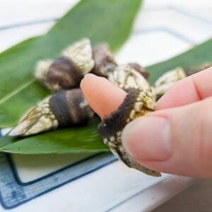 【ふるさと納税】亀の手 大サイズ 500g×2袋 合計1kg カメノテ かめのて ペルセベス 珍味 希少 味噌汁 みそ汁 吸い物 お吸い物 酒蒸し 塩茹で 説明書き付き 海鮮 冷凍 お取り寄せ【配送不可地域：離島】【1411902】兵庫県 新温泉町 送料無料