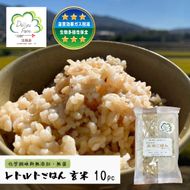 レトルトごはん（玄米） 10パックセット 化学調味料無添加・無菌