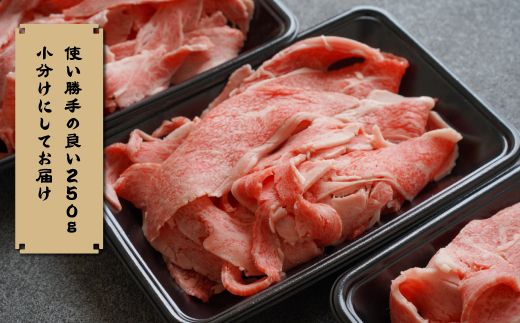 【定期便12ヶ月】淡路牛 贅沢切り落とし 1kg (250g×4PC)　[小分け 冷凍]