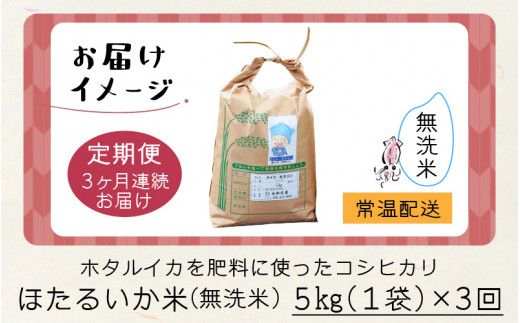 ほたるいか米（無洗米５kg）×3回 計15kg【3ヶ月定期便】