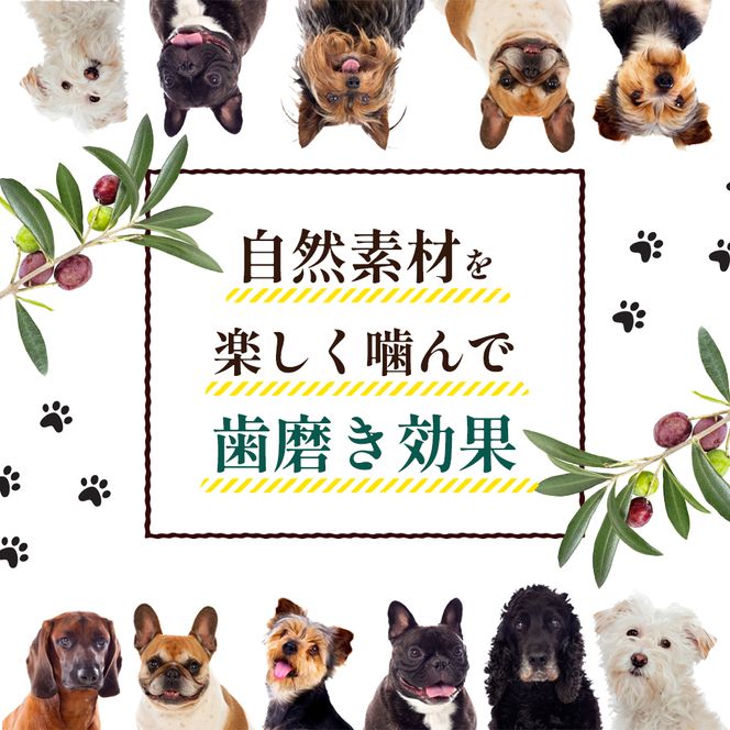 【 小豆島 】 小豆島産 オリーブの犬用はみが木 S(小型犬用) 1本入 ペット 健康 犬 いぬ イヌ 歯磨き 歯みがき ハミガキ オリーブ オリーブ木 犬用 小型犬 香川 香川県 土庄 土庄町