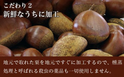 無着色・無漂白 小布施栗甘露煮 280g × 2本 貼箱入り ［株式会社EME］ 栗 くり 甘露煮 国産 栗おこわ 加工品 栗ケーキ スイーツ 菓子 長野 信州 小布施
