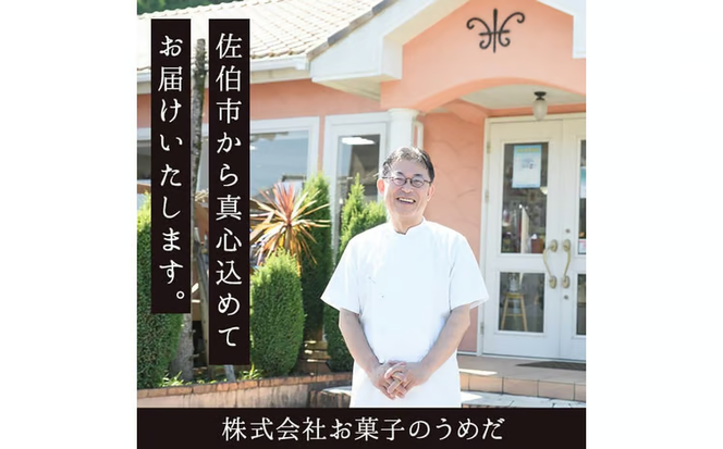 吟醸餡ようかん (4本:各45g) 羊羹 ようかん 和菓子 スイーツ お菓子 おやつ 吟醸餡 小倉 抹茶 珈琲 お取り寄せ 個装 常温 大分県 佐伯市 【AG129】【お菓子のウメダ】