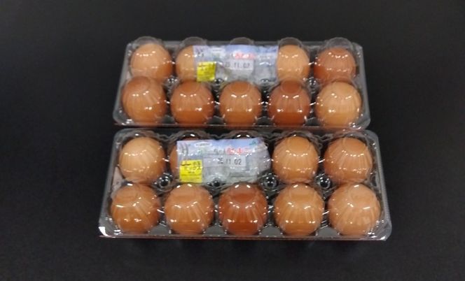 たまご JA上伊那 カミーちゃん 赤たまご 20個＋割れ保障10個付き（MSサイズ）｜ 卵 赤卵 20個 JA上伊那 伊那市 長野県 信州 ふるさと納税【008-24】