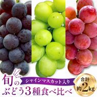 【2026年発送 先行予約】旬のぶどう３種食べ比べ アソート 計2kg程度 （ シャインマスカット オーロラブラック クイーンニーナ ） ぶどう ブドウ シャインマスカット シャイン マスカット フルーツ 果物 くだもの ぶどう食べ比べ 宮崎県小林市