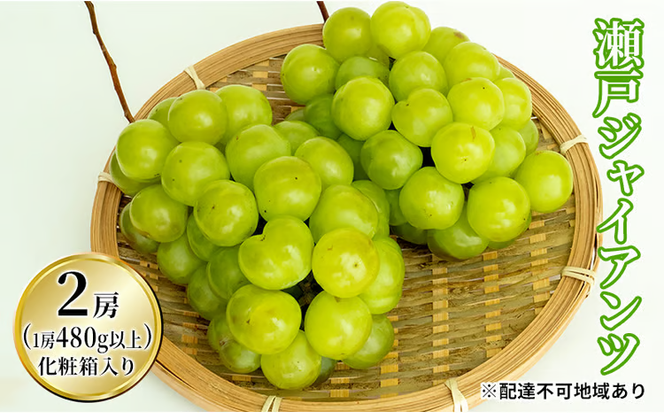 ぶどう 2026年 先行予約 瀬戸 ジャイアンツ 2房（1房480g以上）約1kg 化粧箱入り ブドウ 葡萄 岡山県産 国産 フルーツ 果物 ギフト 薄皮 皮ごと 高糖度 酸味控えめ 甘酸っぱい [№5735-1473]
