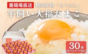 産地直送 大福たまご 30個